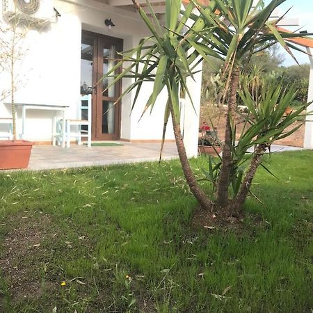 Hotel La fragola in Campagna San Pantaleo Esterno foto