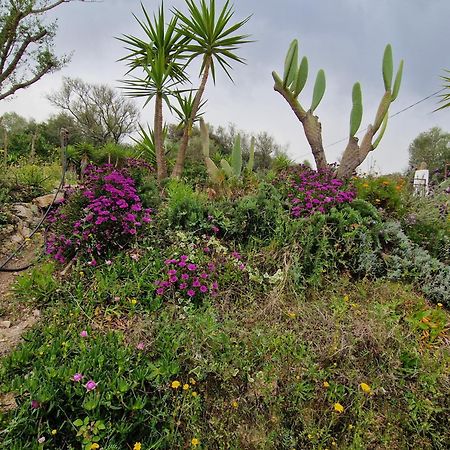 Hotel La fragola in Campagna San Pantaleo Esterno foto