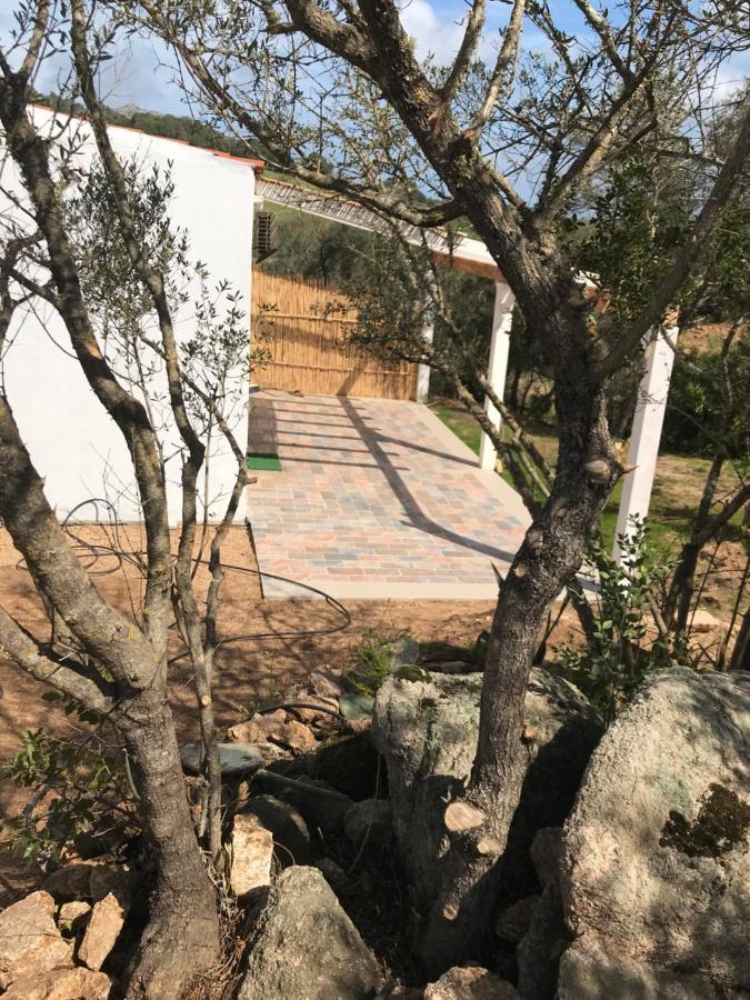 Hotel La fragola in Campagna San Pantaleo Esterno foto