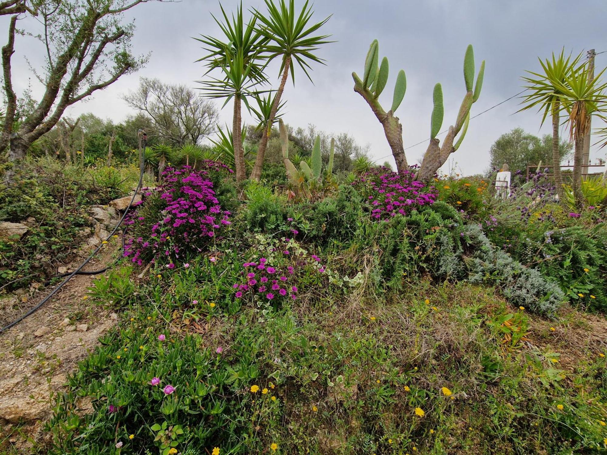 Hotel La fragola in Campagna San Pantaleo Esterno foto