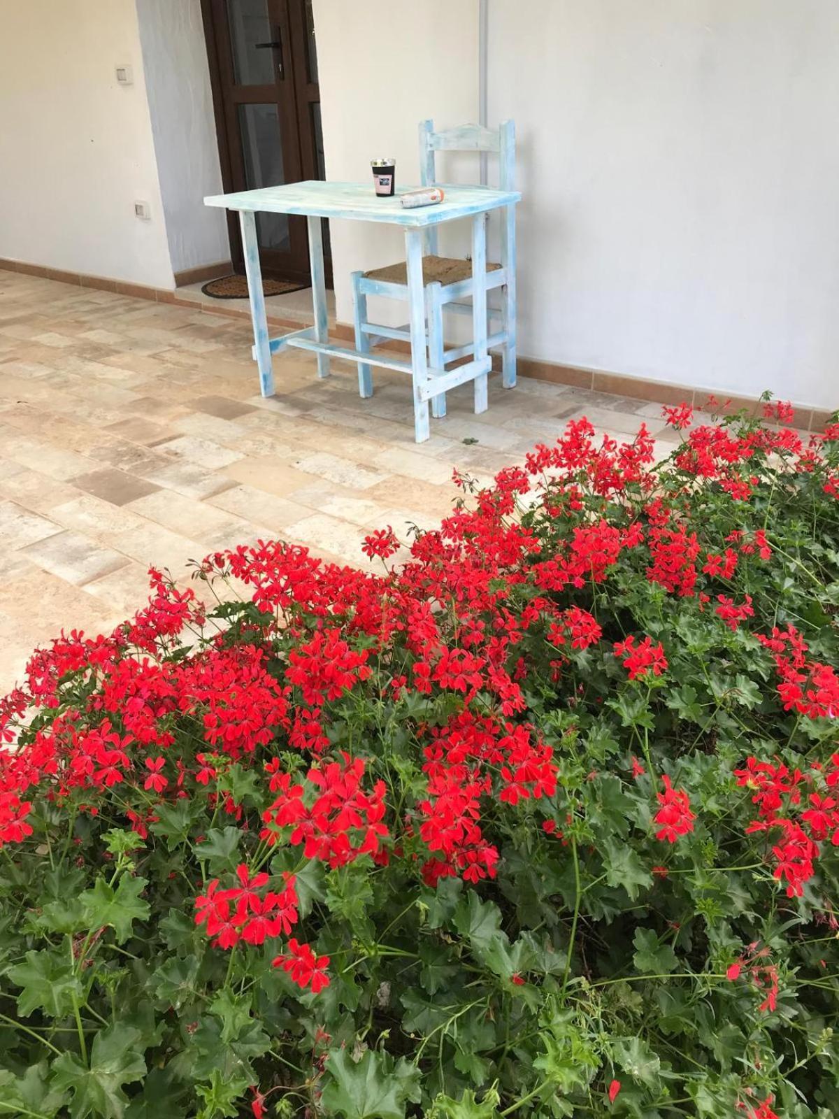 Hotel La fragola in Campagna San Pantaleo Esterno foto