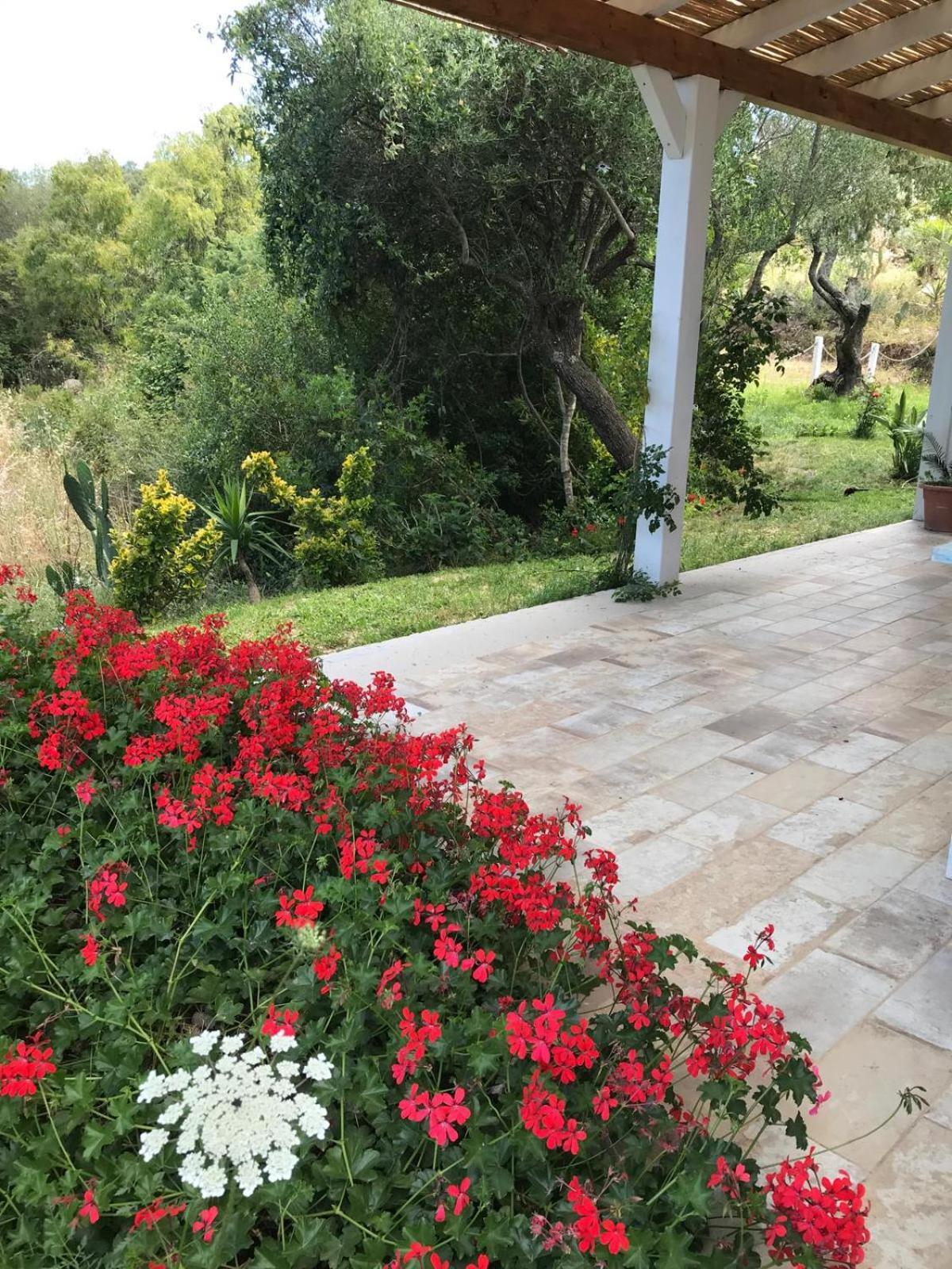 Hotel La fragola in Campagna San Pantaleo Esterno foto