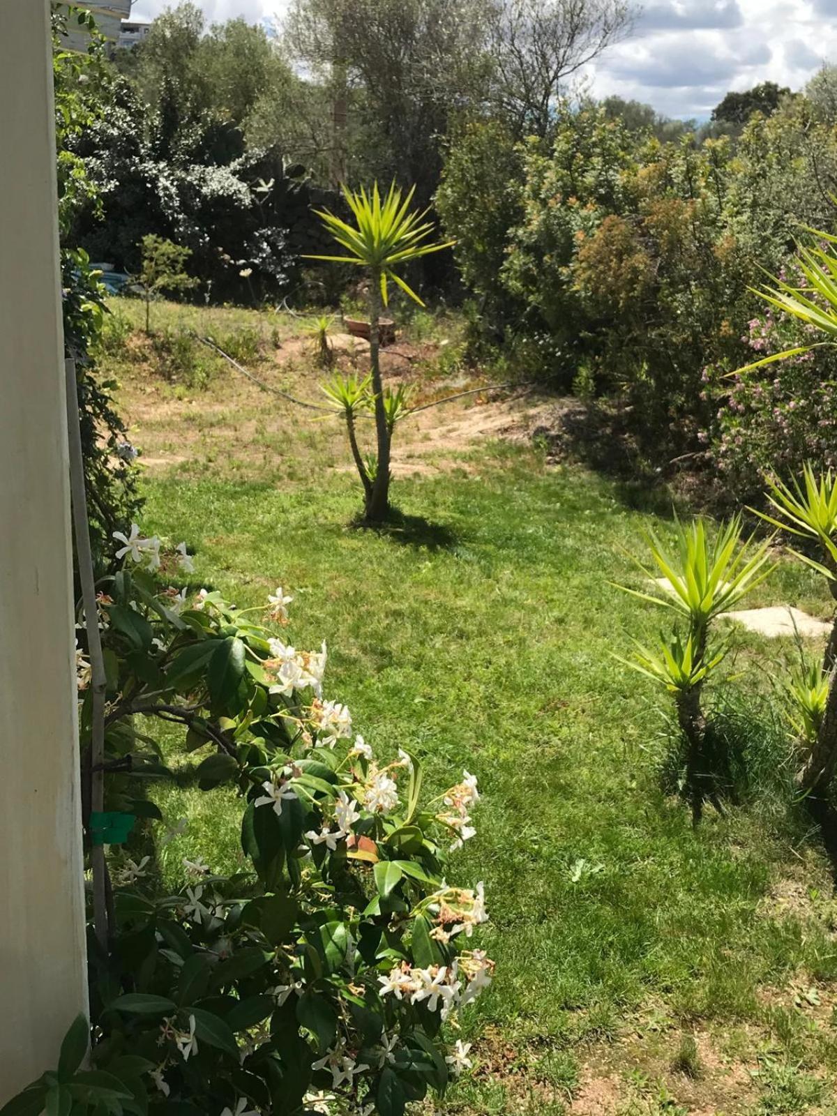Hotel La fragola in Campagna San Pantaleo Esterno foto