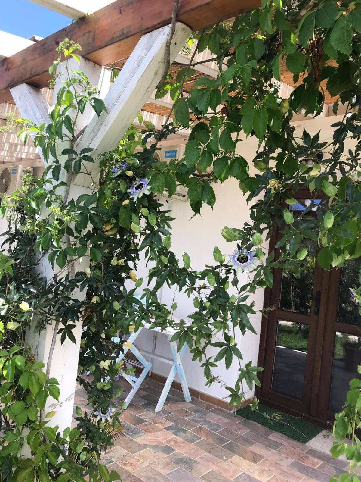 Hotel La fragola in Campagna San Pantaleo Esterno foto