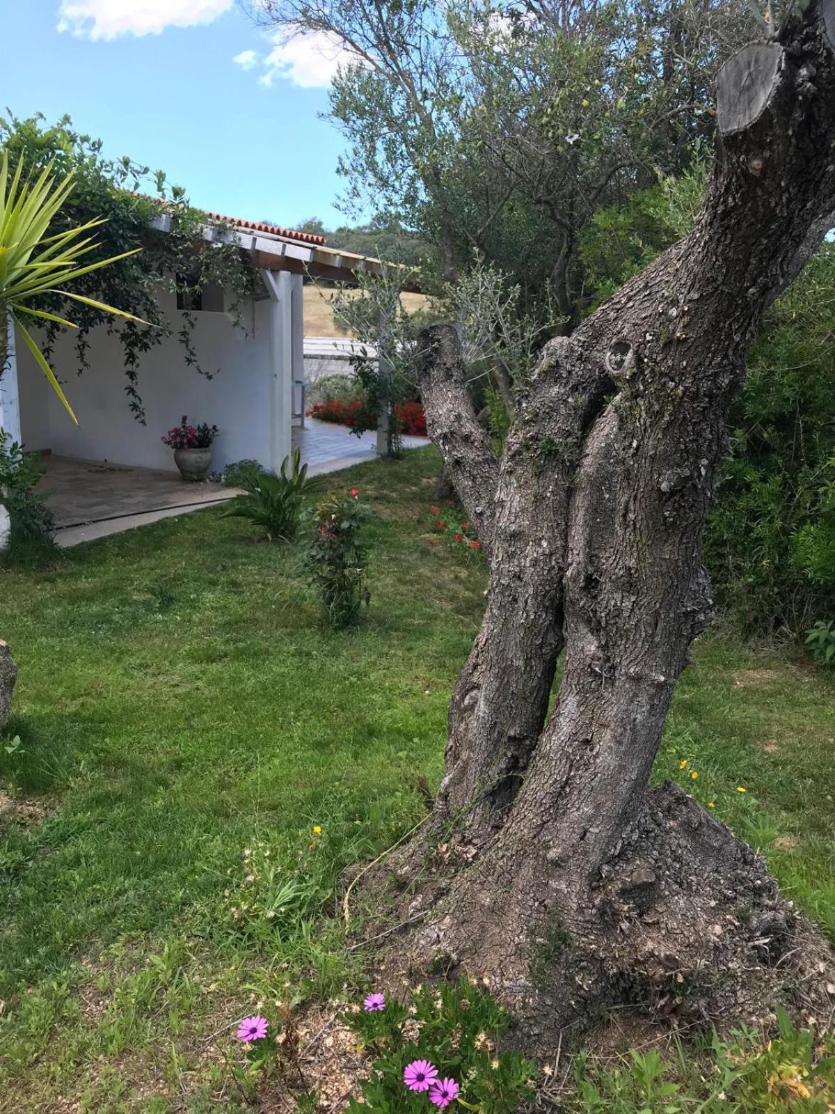 Hotel La fragola in Campagna San Pantaleo Esterno foto