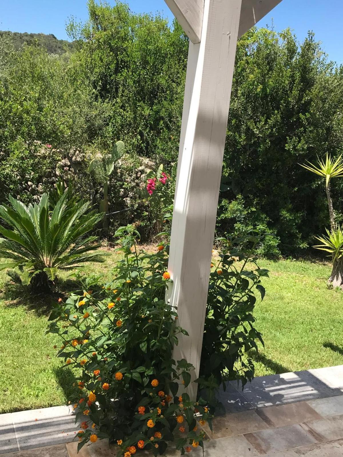 Hotel La fragola in Campagna San Pantaleo Esterno foto