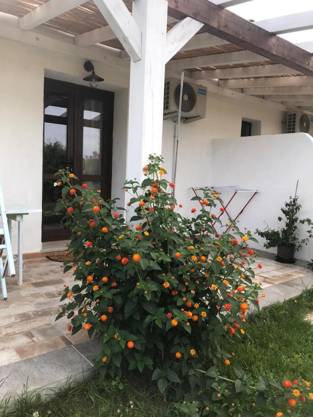 Hotel La fragola in Campagna San Pantaleo Esterno foto